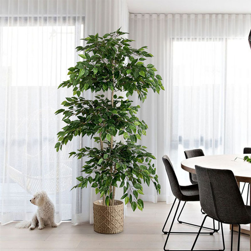 Dracaena Marginata - اللبخ نباتات استوائية كبيرة اصطناعية ،