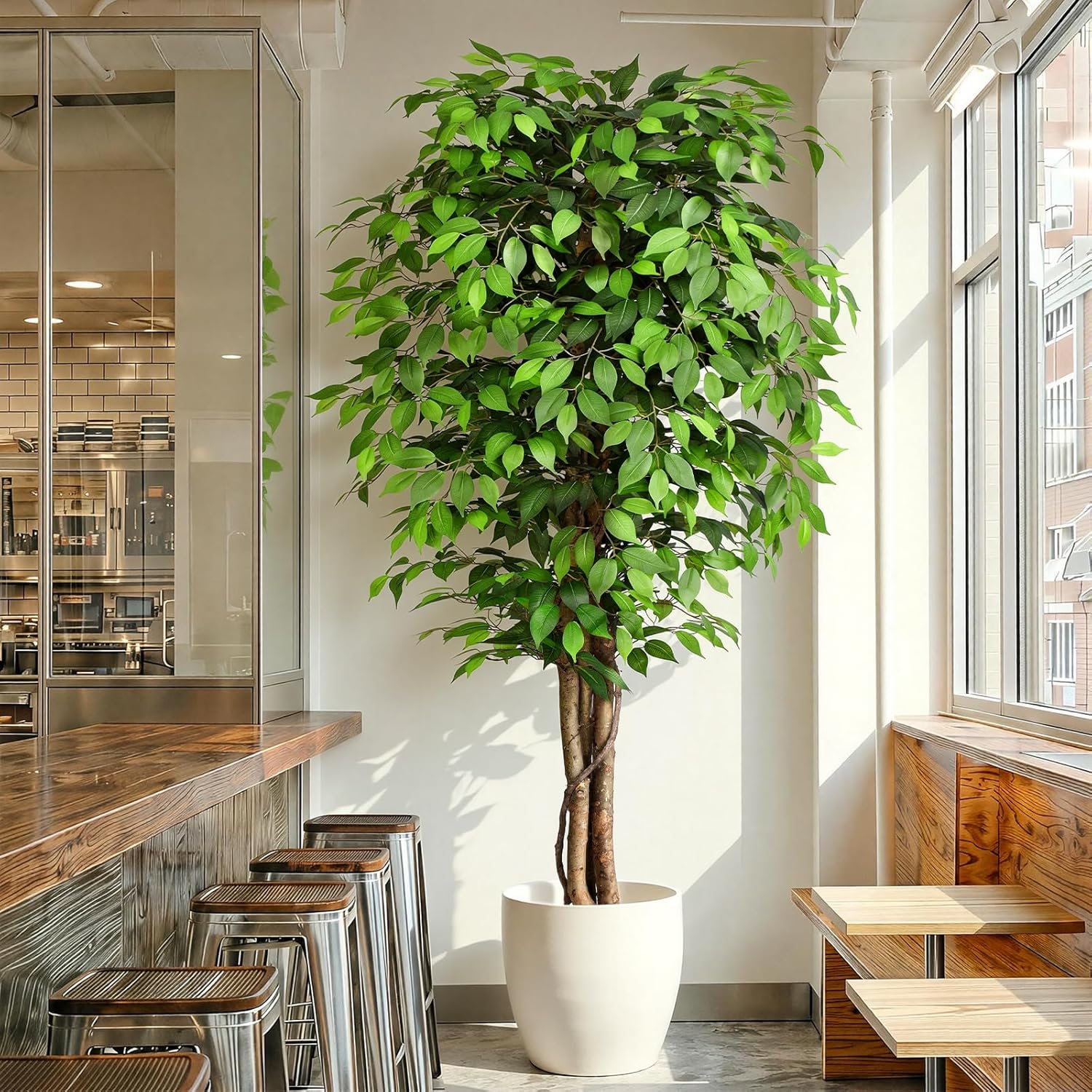 Dracaena Marginata - شجرة التين الاصطناعية الواقعية ذات الجذع