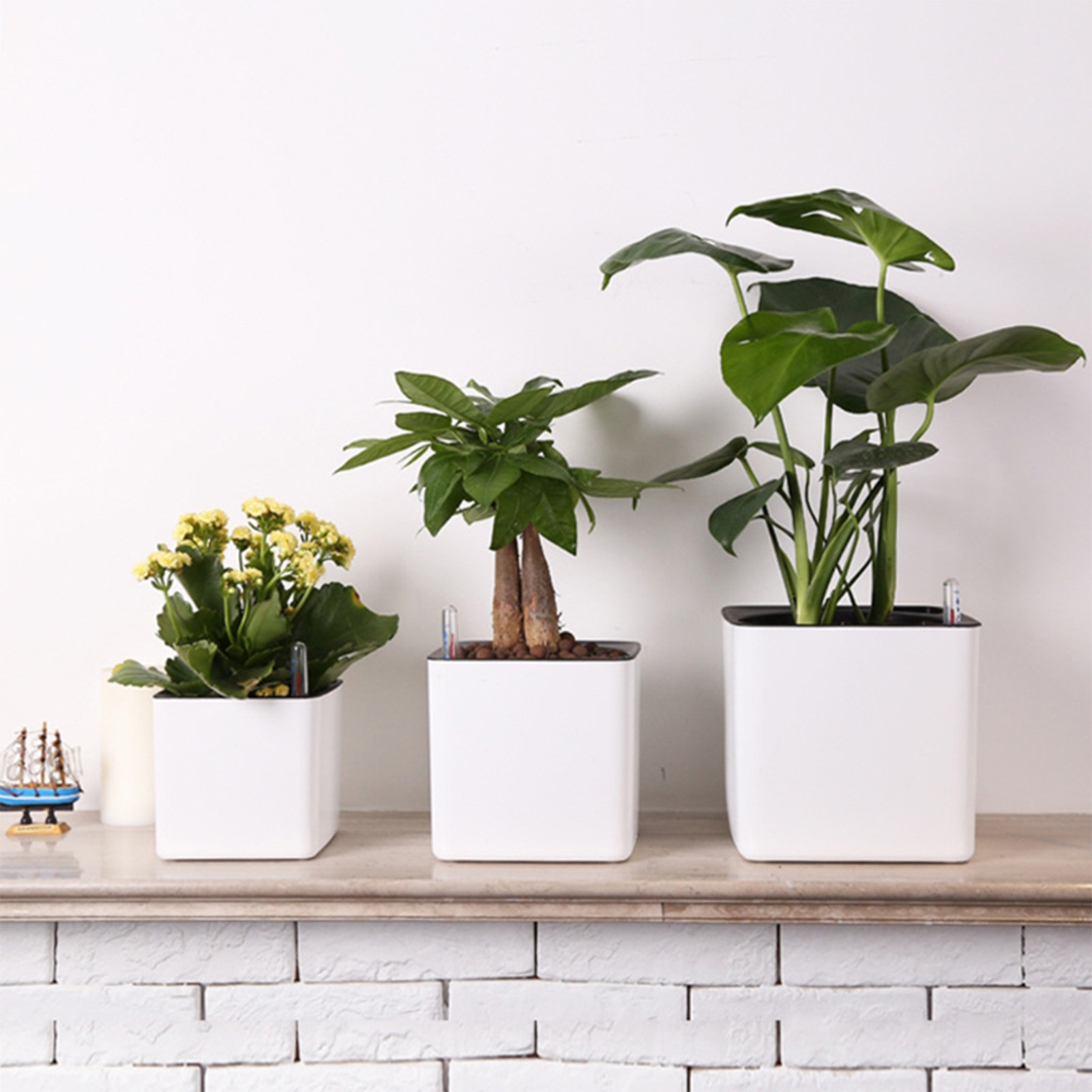 Aloe Vera Pot - وعاء نباتات ذاتي الري مع مؤشر