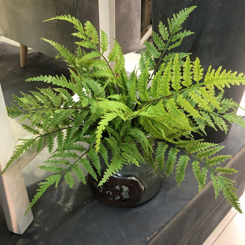 Dracaena Marginata - 1 قطعة النباتات الاصطناعية غرفة نوم