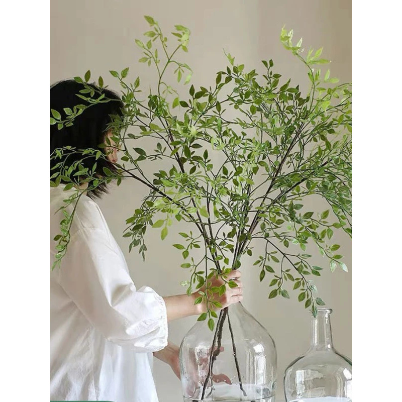 Dracaena Marginata - نباتات خضراء اصطناعية بفرع واحد مع