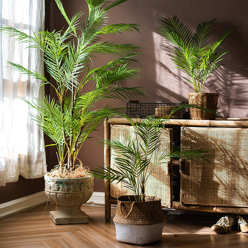 Dracaena Marginata - شجرة نخيل صناعية كبيرة بطول 125