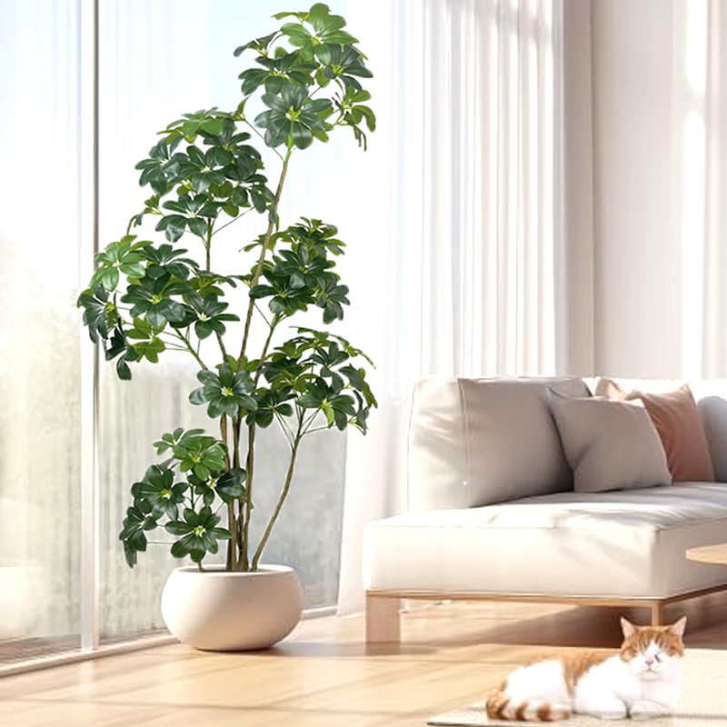 74in شجرة استوائية كبيرة نباتا - مراجعة Dracaena Marginata وسعره