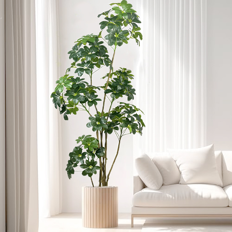 74in شجرة استوائية كبيرة نباتا - مراجعة Dracaena Marginata وسعره