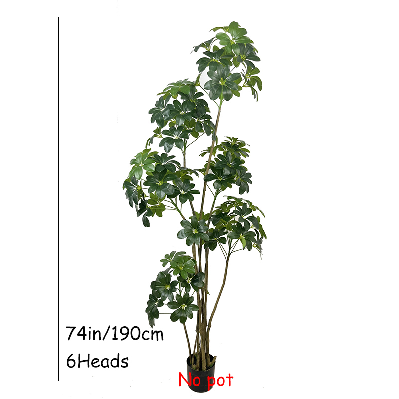 74in شجرة استوائية كبيرة نباتا - مراجعة Dracaena Marginata وسعره