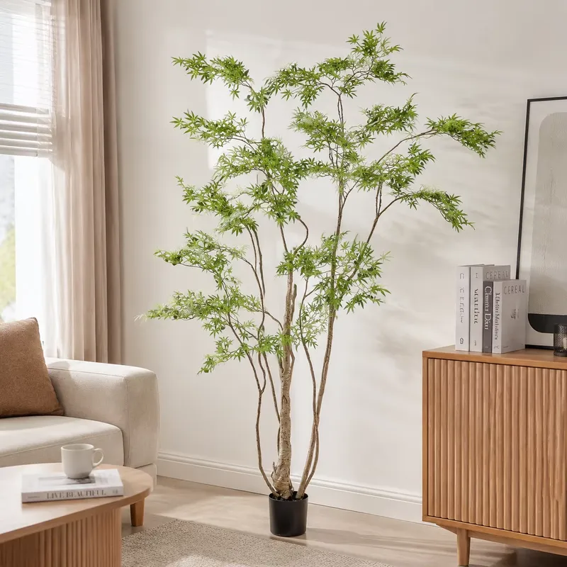 شجرة القيقب الياباني الاصطناعي - مراجعة Dracaena Marginata وسعره