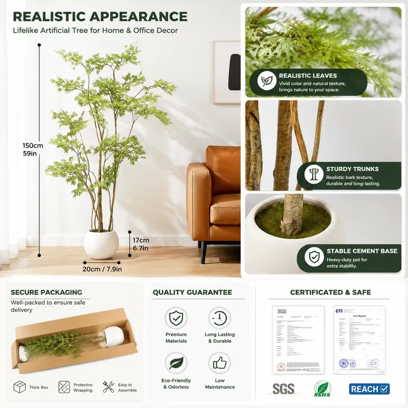 شجرة القيقب الياباني الاصطناعي - مراجعة Dracaena Marginata وسعره