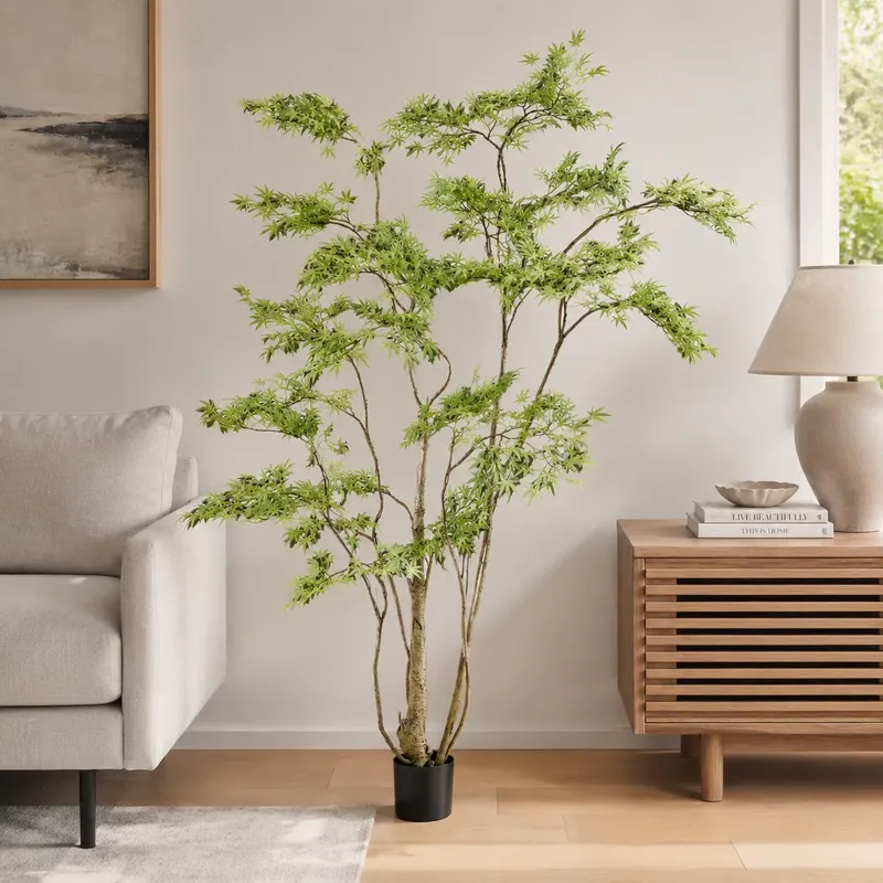 شجرة القيقب الياباني الاصطناعي - مراجعة Dracaena Marginata وسعره
