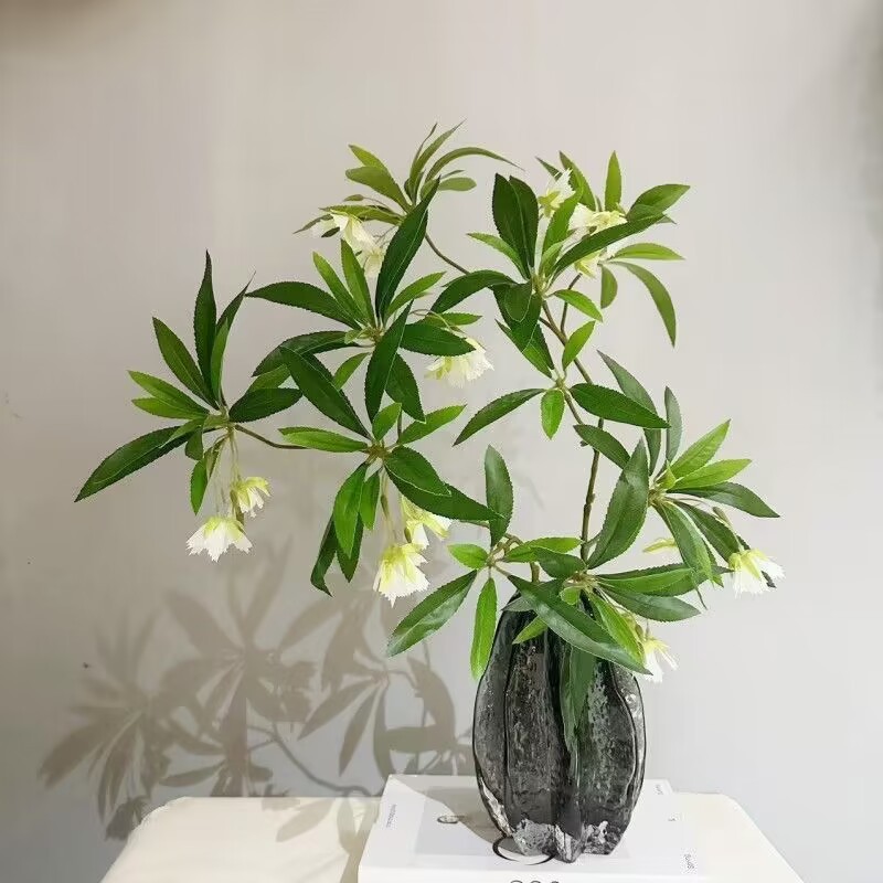 35.43 بوصة حجر الماء الاصطناعي - مراجعة Dracaena Marginata وسعره