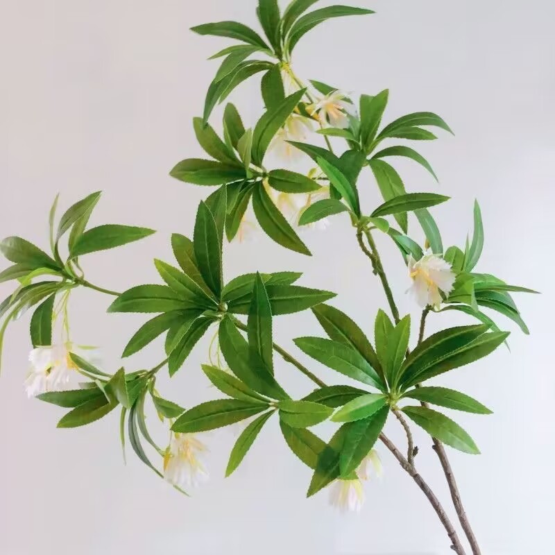 35.43 بوصة حجر الماء الاصطناعي - مراجعة Dracaena Marginata وسعره