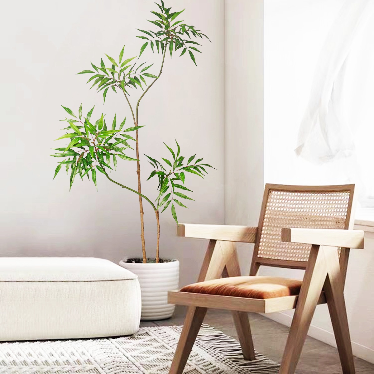 130-160 سنتيمتر شجرة بانيان ال - مراجعة Dracaena Marginata وسعره