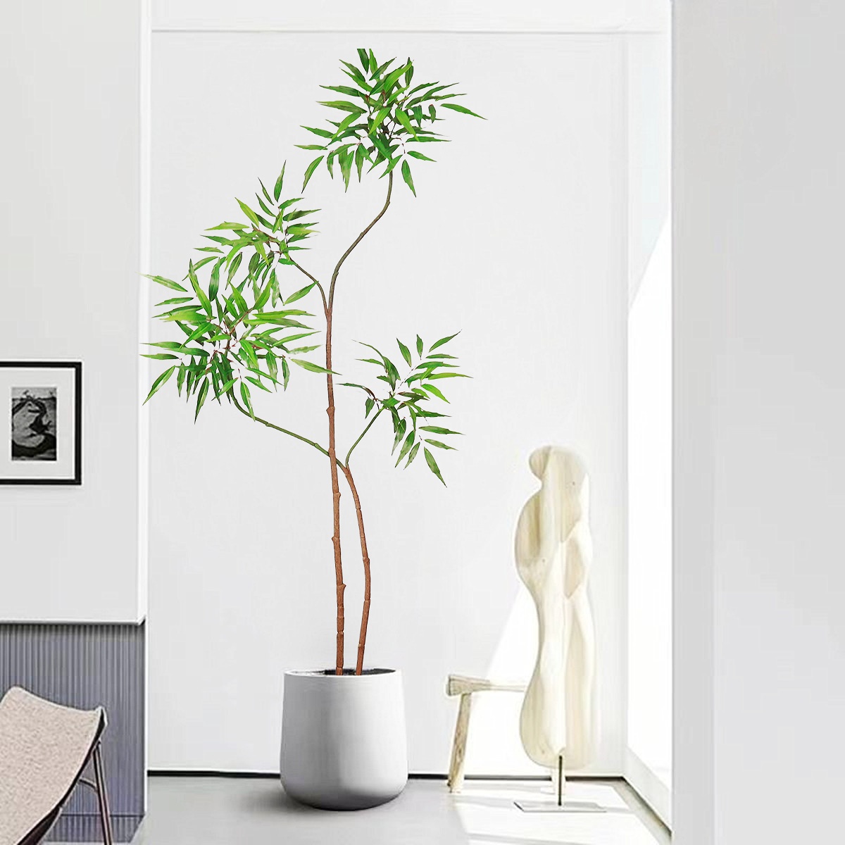 130-160 سنتيمتر شجرة بانيان ال - مراجعة Dracaena Marginata وسعره
