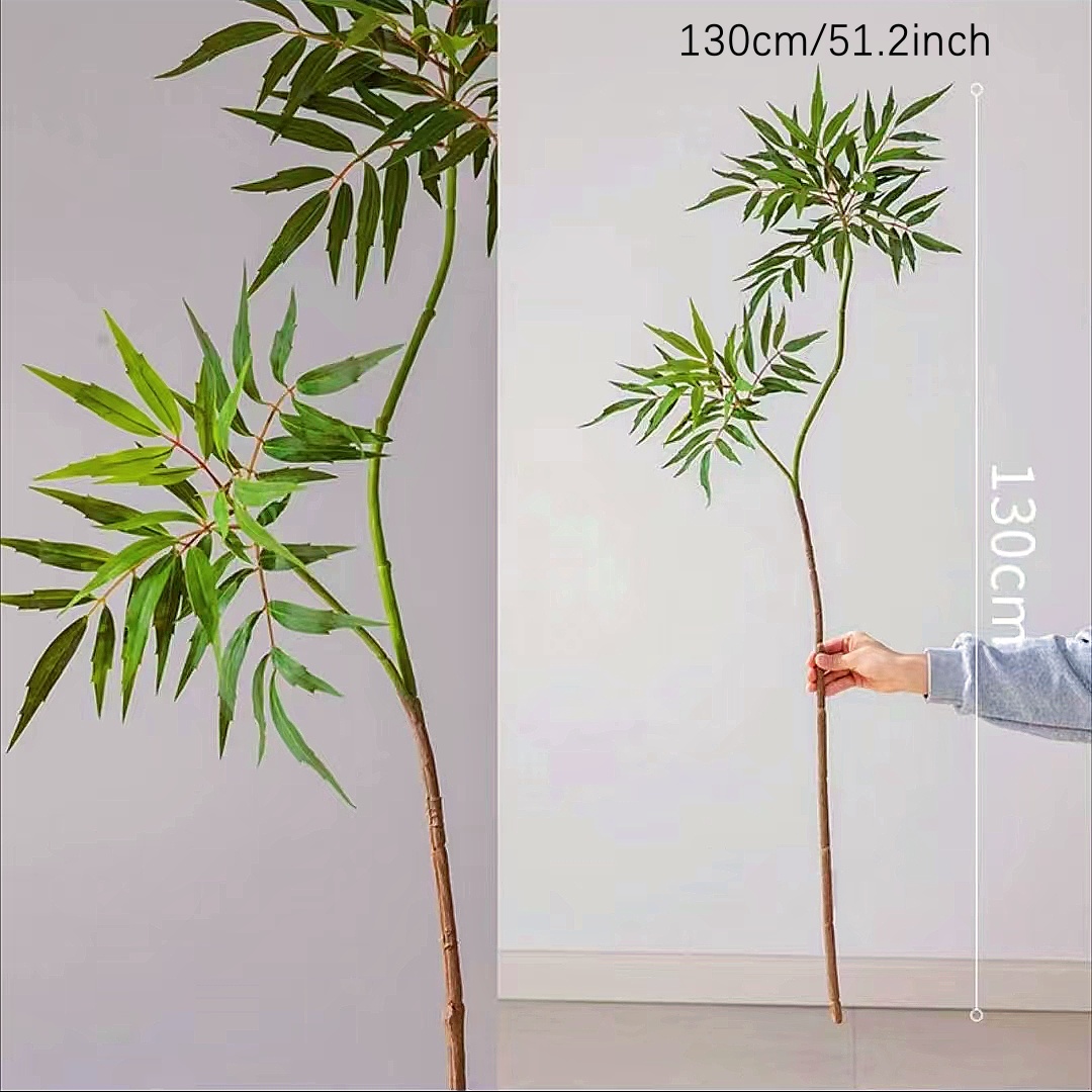 130-160 سنتيمتر شجرة بانيان ال - مراجعة Dracaena Marginata وسعره