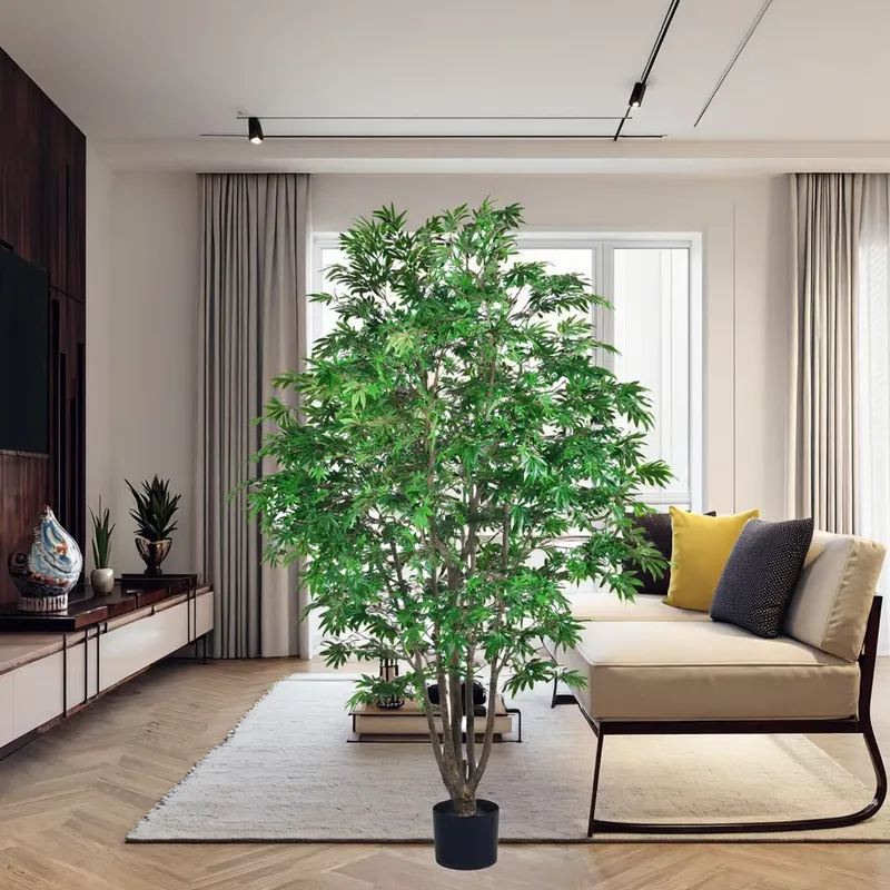شجرة القيقب الخضراء الاصطناعية - مراجعة Dracaena Marginata وسعره