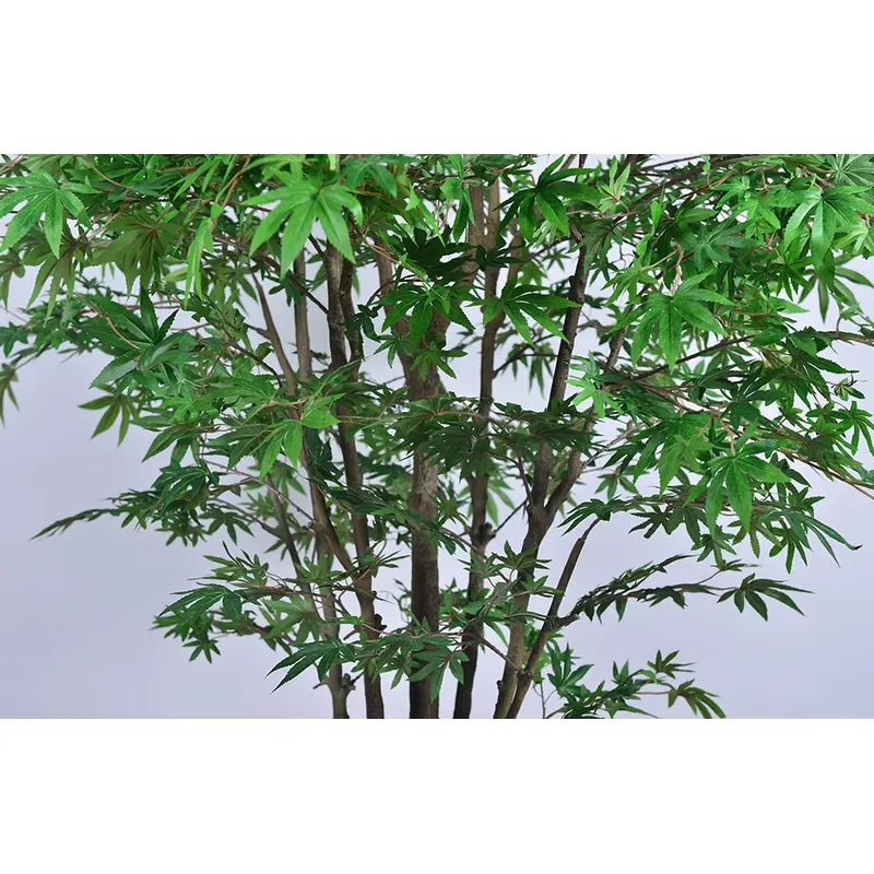 شجرة القيقب الخضراء الاصطناعية - مراجعة Dracaena Marginata وسعره