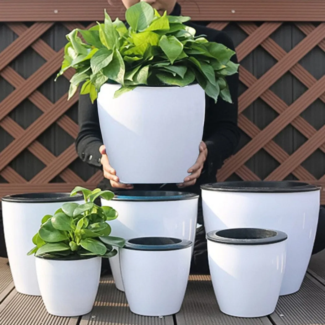 أصيص زهور كسول أصيص نباتات للأ - مراجعة Aloe Vera Pot وسعره