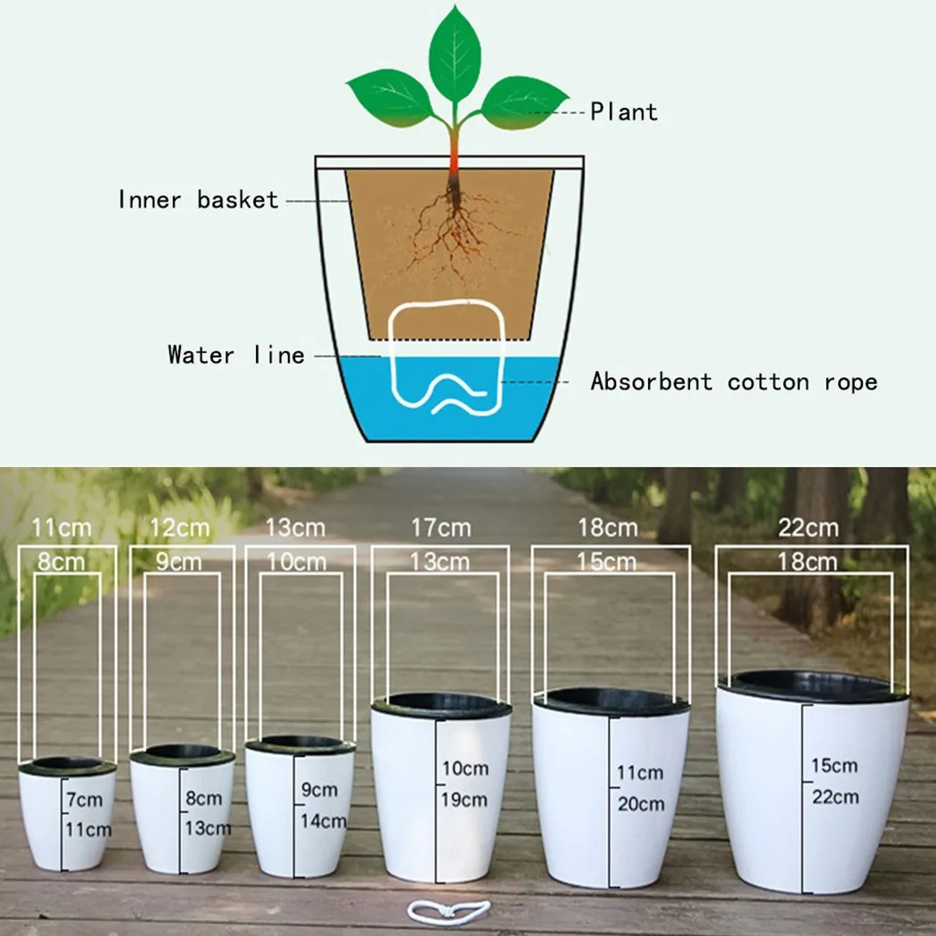 أصيص زهور كسول أصيص نباتات للأ - مراجعة Aloe Vera Pot وسعره