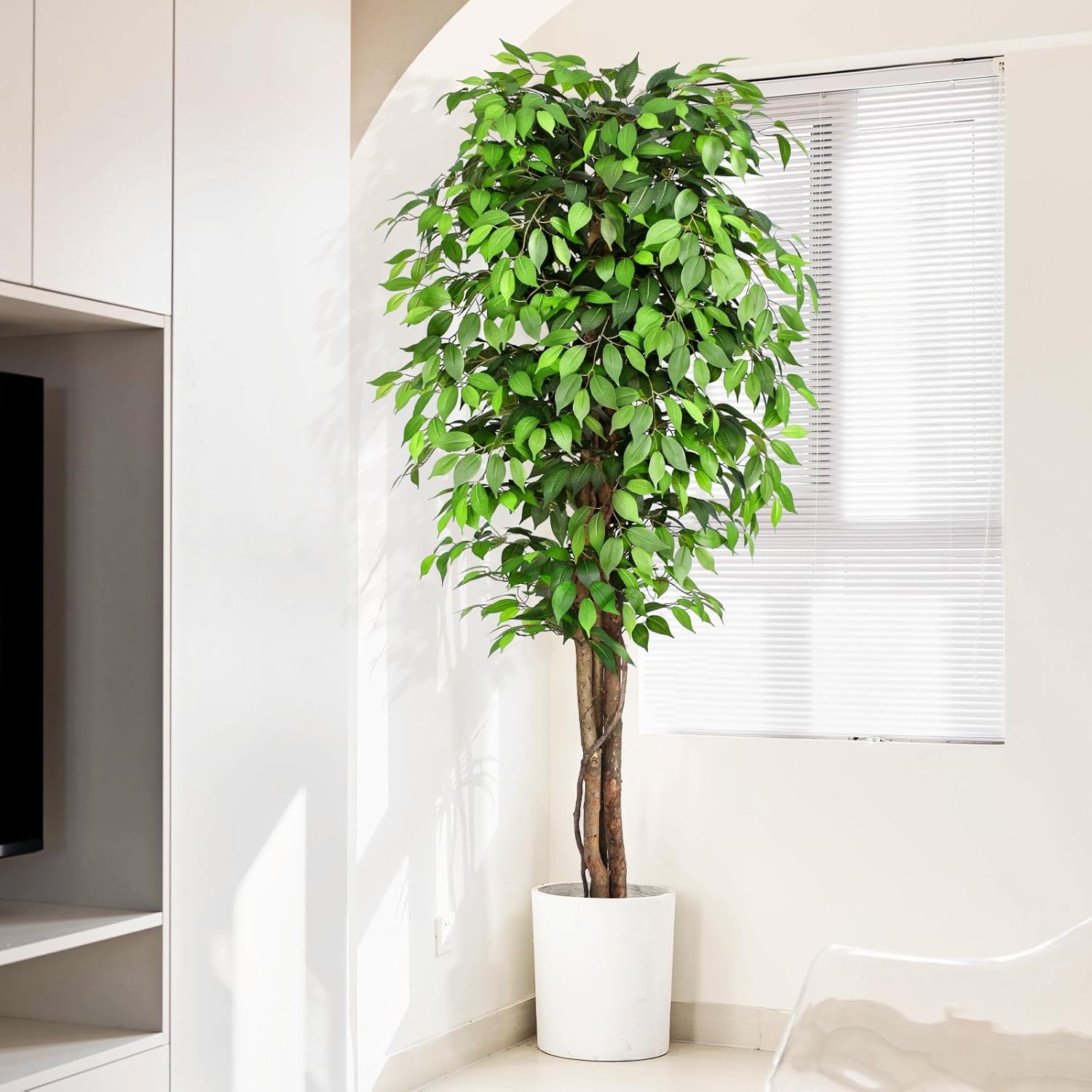 شجرة التين الاصطناعية الواقعية - مراجعة Dracaena Marginata وسعره