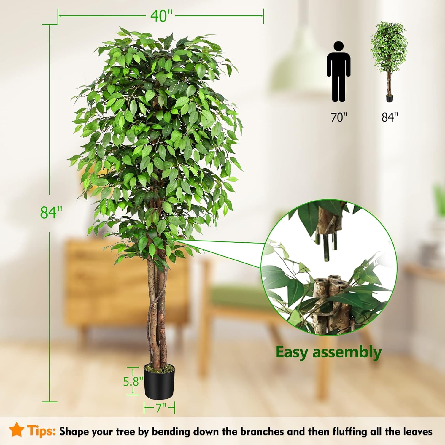 شجرة التين الاصطناعية الواقعية - مراجعة Dracaena Marginata وسعره
