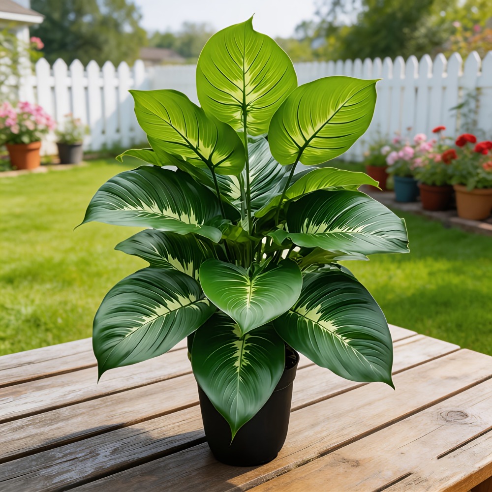 نبات اصطناعي واقعي بـ 24 رأسًا - مراجعة Monstera Adansonii وسعره