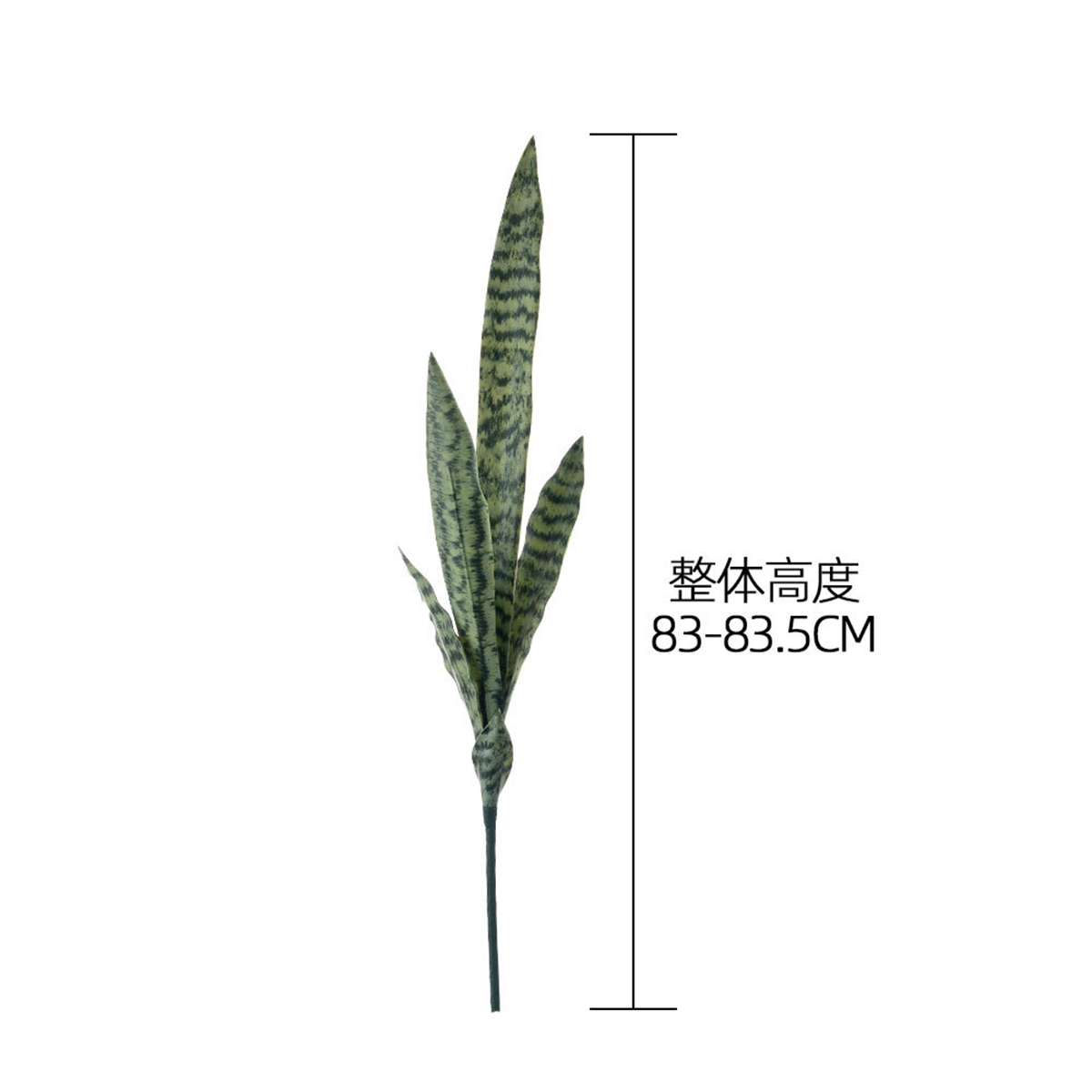 نبات ثعبان اصطناعي للديكور الم - مراجعة Monstera Adansonii وسعره