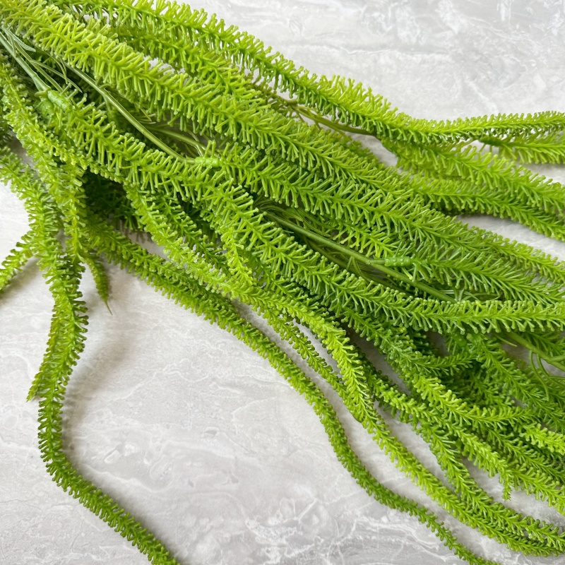 لحية الصفصاف الاصطناعية متعددة - مراجعة Monstera Adansonii وسعره