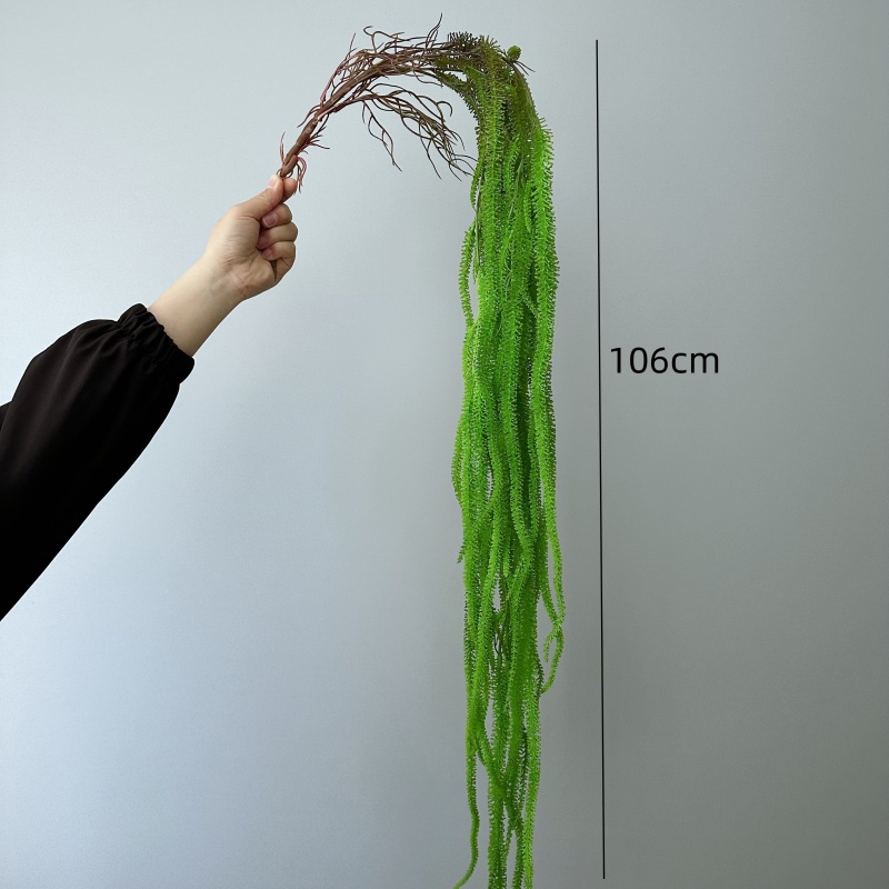 لحية الصفصاف الاصطناعية متعددة - مراجعة Monstera Adansonii وسعره