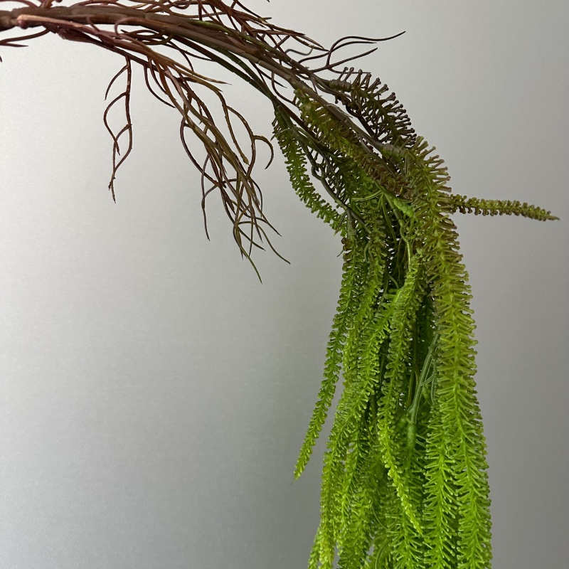 لحية الصفصاف الاصطناعية متعددة - مراجعة Monstera Adansonii وسعره