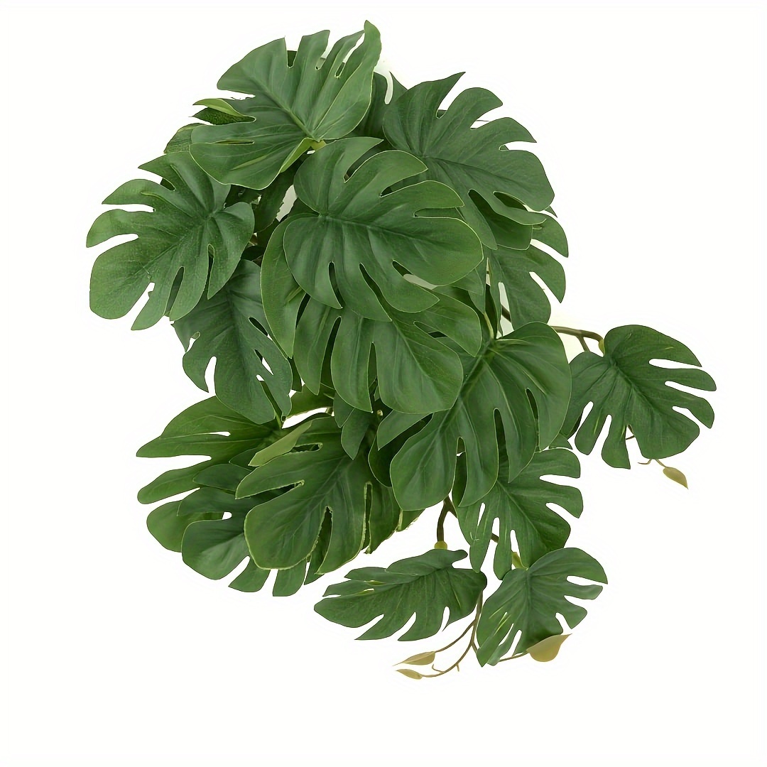نباتات اصطناعية للزواحف والترا - مراجعة Monstera Adansonii وسعره