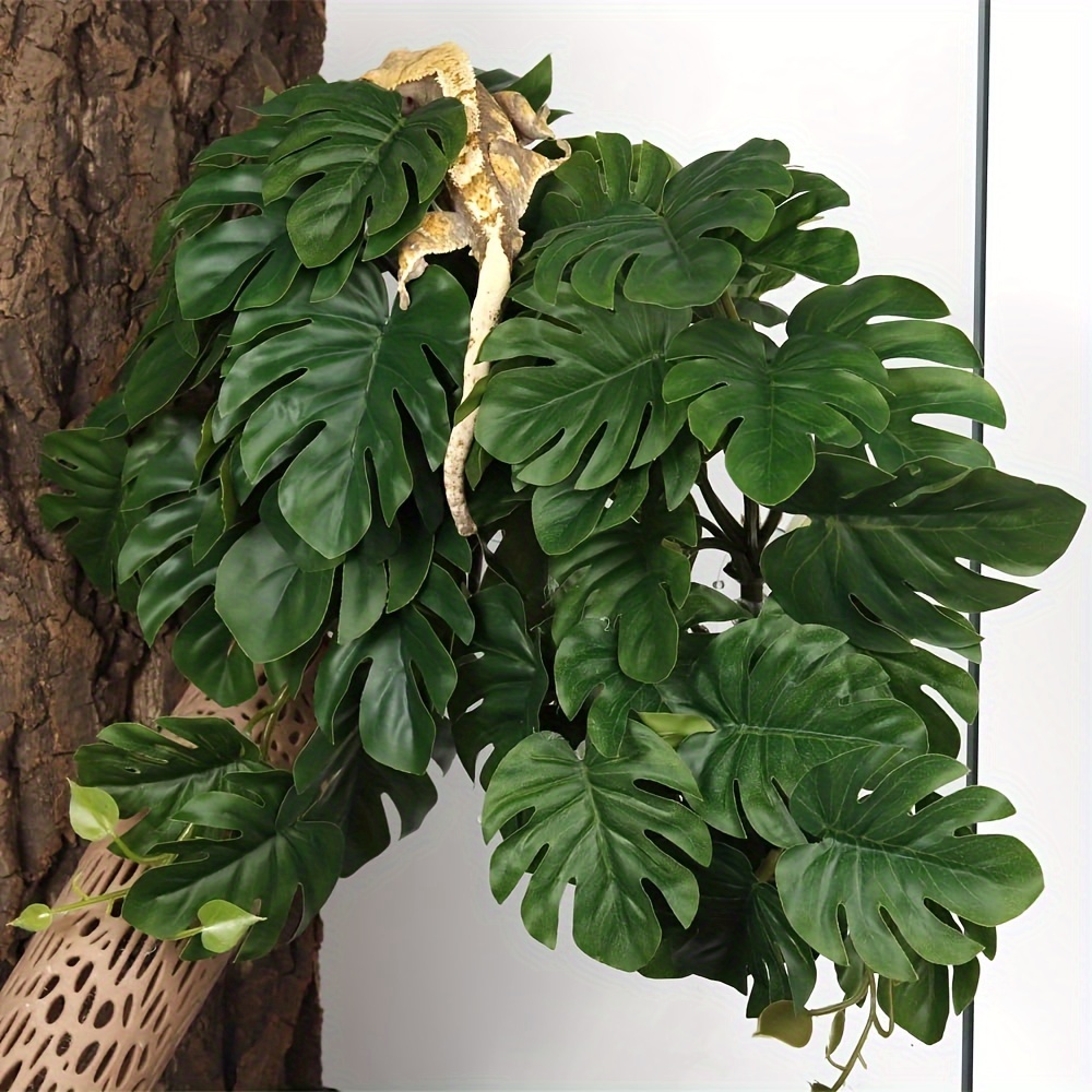 نباتات اصطناعية للزواحف والترا - مراجعة Monstera Adansonii وسعره