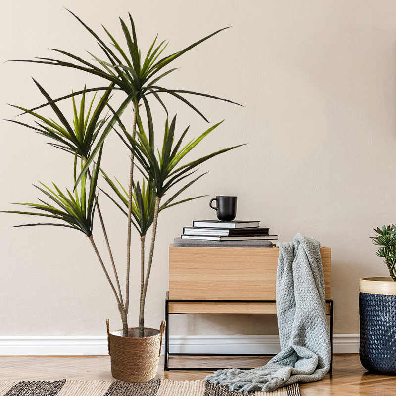 90-120 سنتيمتر كبير الاصطناعي  - مراجعة Dracaena Marginata وسعره