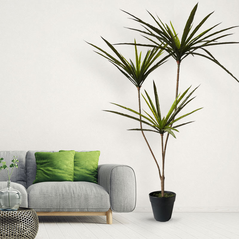 90-120 سنتيمتر كبير الاصطناعي  - مراجعة Dracaena Marginata وسعره