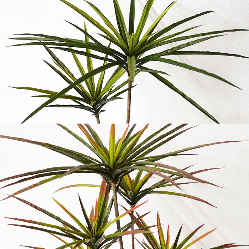 90-120 سنتيمتر كبير الاصطناعي  - مراجعة Dracaena Marginata وسعره