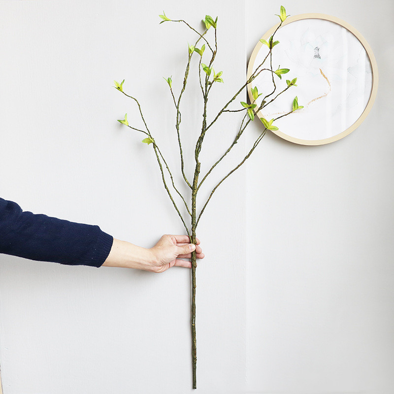 كرمة الروطان الاصطناعية الجديد - مراجعة Dracaena Marginata وسعره