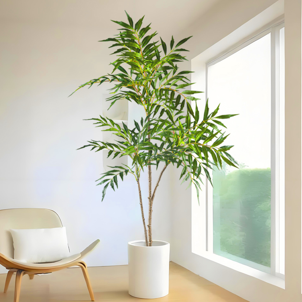 78-140 سنتيمتر نباتات النندينا - مراجعة Dracaena Marginata وسعره
