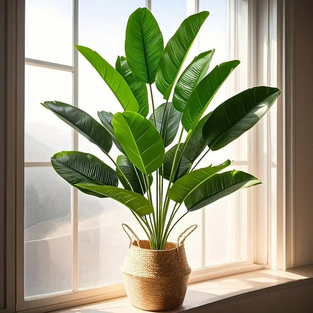 1 قطعة 18 أوراق نباتات اصطناعي - مراجعة Dracaena Marginata وسعره