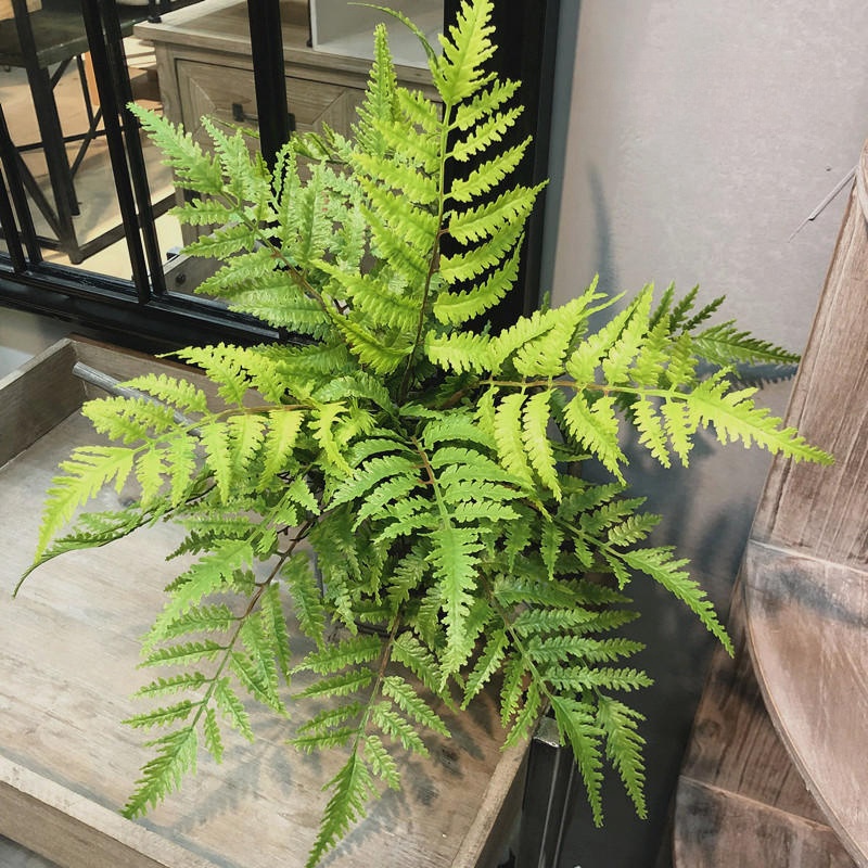 1 قطعة النباتات الاصطناعية غرف - مراجعة Dracaena Marginata وسعره