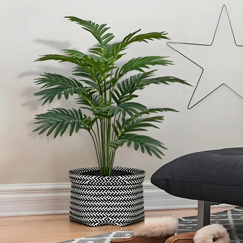 قطعتان من نباتات النخيل الاصطن - مراجعة Monstera Adansonii وسعره