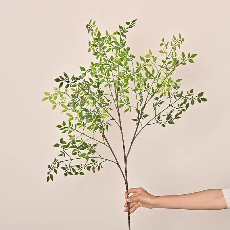 نباتات خضراء اصطناعية بفرع واح - مراجعة Dracaena Marginata وسعره