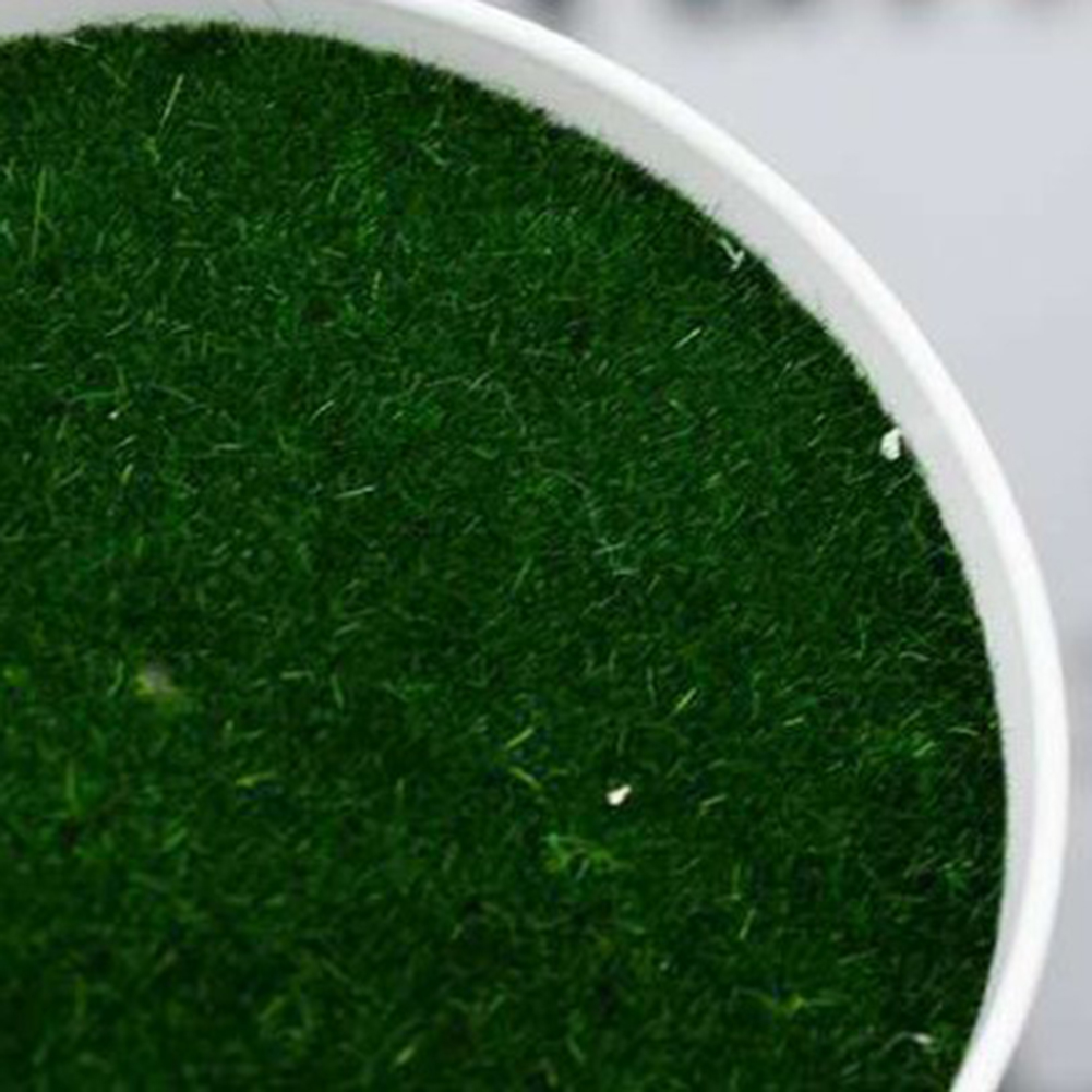 وعاء نباتات اصطناعي وعاء الحضا - مراجعة Aloe Vera Pot وسعره