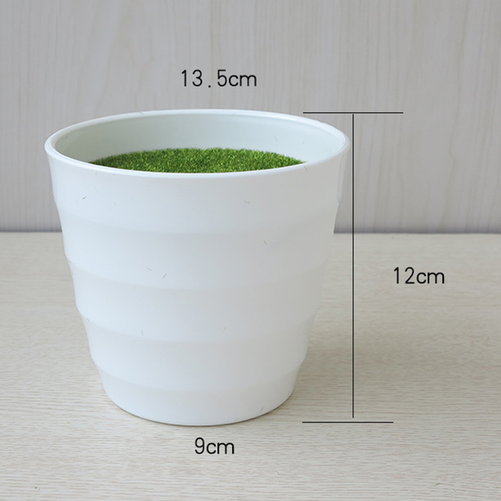 وعاء نباتات اصطناعي وعاء الحضا - مراجعة Aloe Vera Pot وسعره