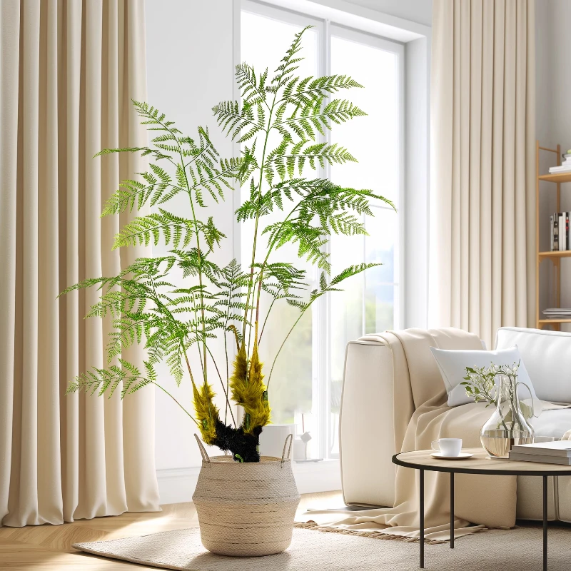 كبير مقلد القرد الذهبي السرخس  - مراجعة Dracaena Marginata وسعره