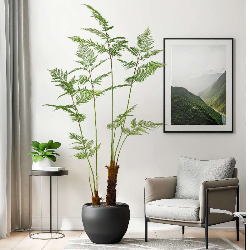 كبير مقلد القرد الذهبي السرخس  - مراجعة Dracaena Marginata وسعره