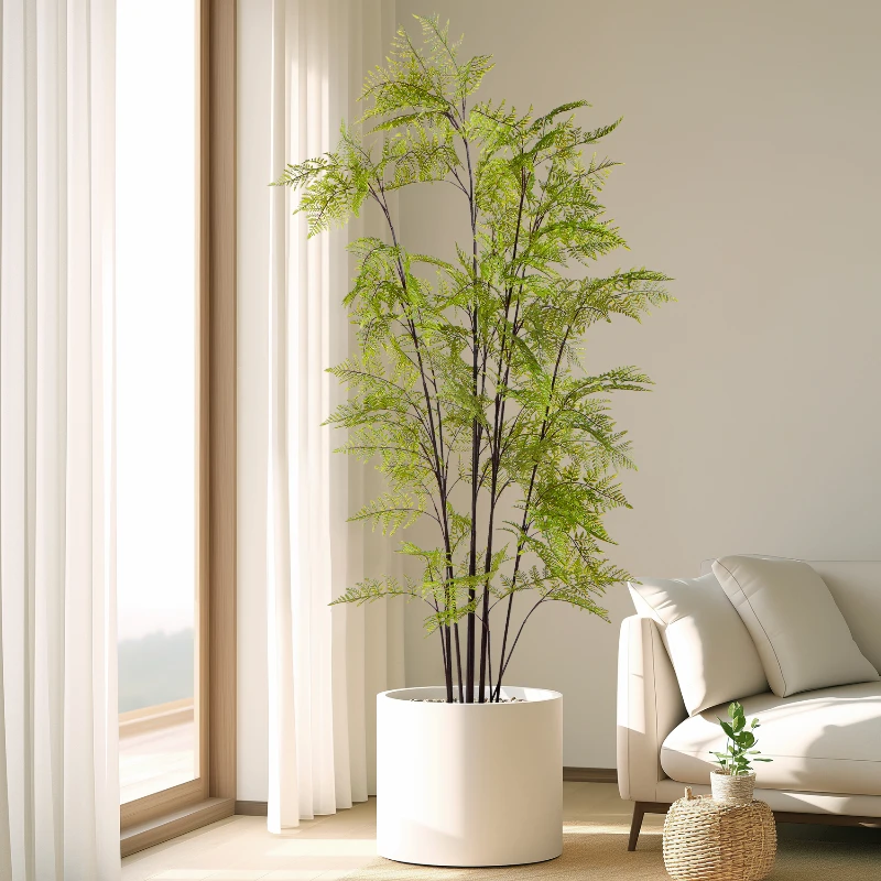 كبير مقلد القرد الذهبي السرخس  - مراجعة Dracaena Marginata وسعره