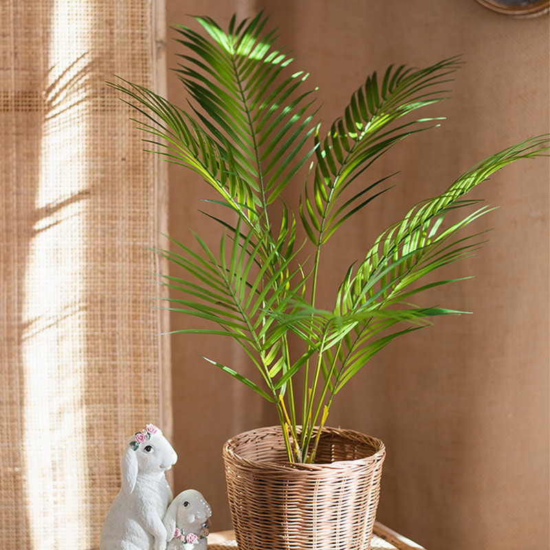 شجرة نخيل صناعية كبيرة بطول 12 - مراجعة Dracaena Marginata وسعره