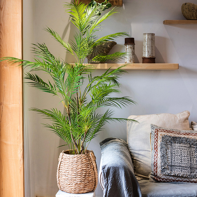 شجرة نخيل صناعية كبيرة بطول 12 - مراجعة Dracaena Marginata وسعره