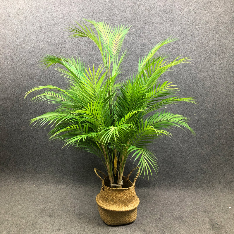 شجرة نخيل صناعية كبيرة بطول 12 - مراجعة Dracaena Marginata وسعره