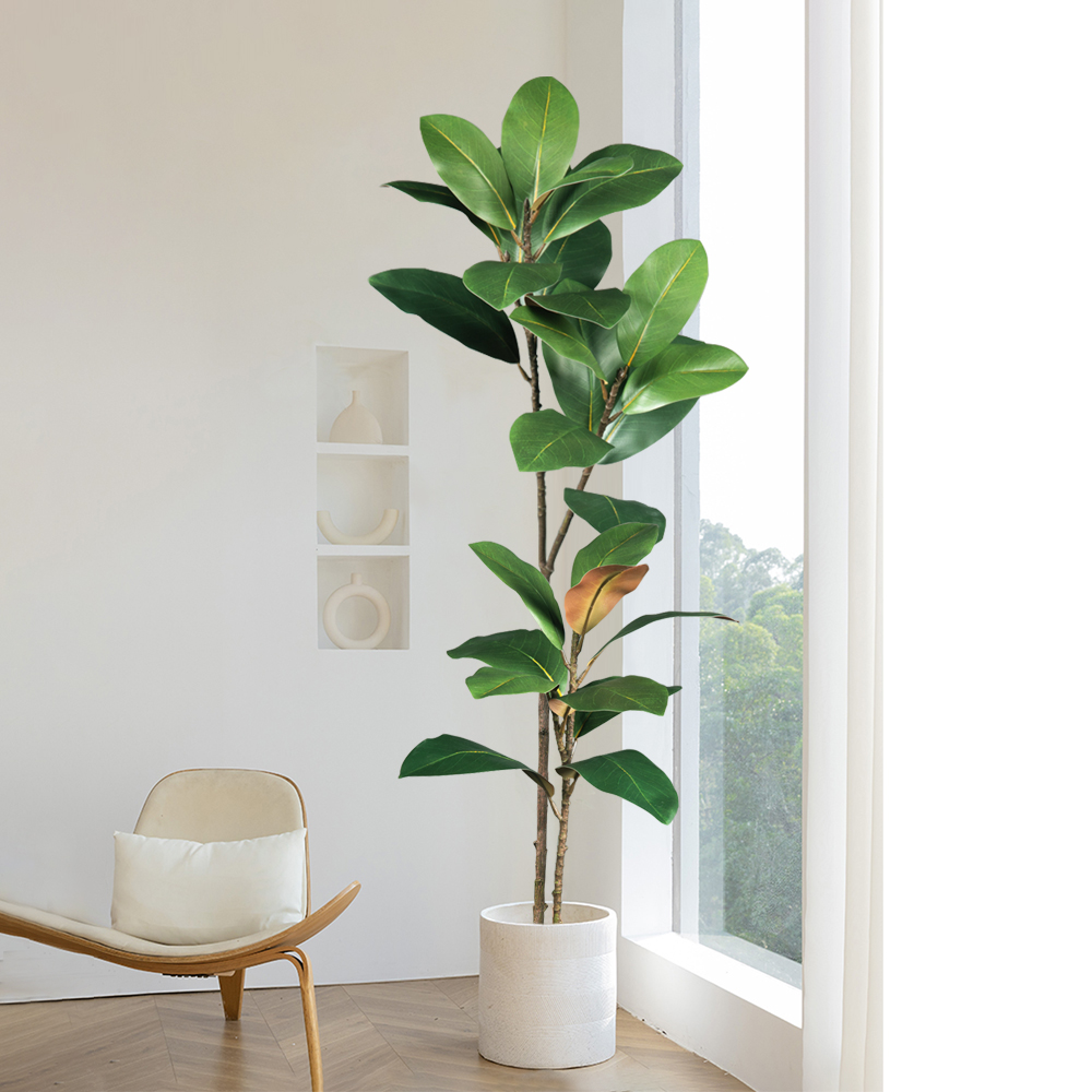 شجرة ماغنوليا صناعية بارتفاع 5 - مراجعة Dracaena Marginata وسعره
